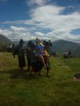 /album/fotogaleria-xii-festival-del-inti-raymi/p1080236-jpg/